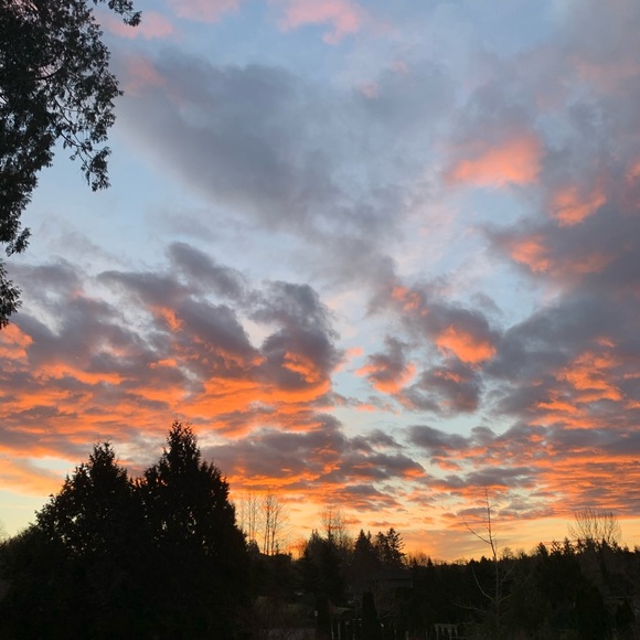 Meet your Posher, Colleen - Picture 1 of 1